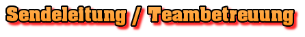 Sendeleitung